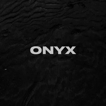 Flexout Presents: Onyx by Various Artists - album cover