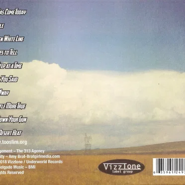 High Desert Heat by Too Slim and the Taildraggers - album cover