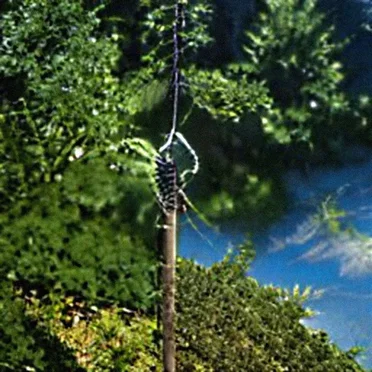 97b59f4650ca69ffe184c3b1[1]-magic