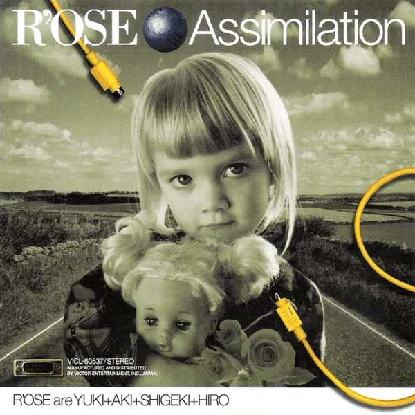 Assimilation