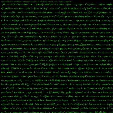 /dev/random