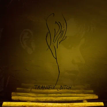 Transfix Bitch by Syphil - album cover