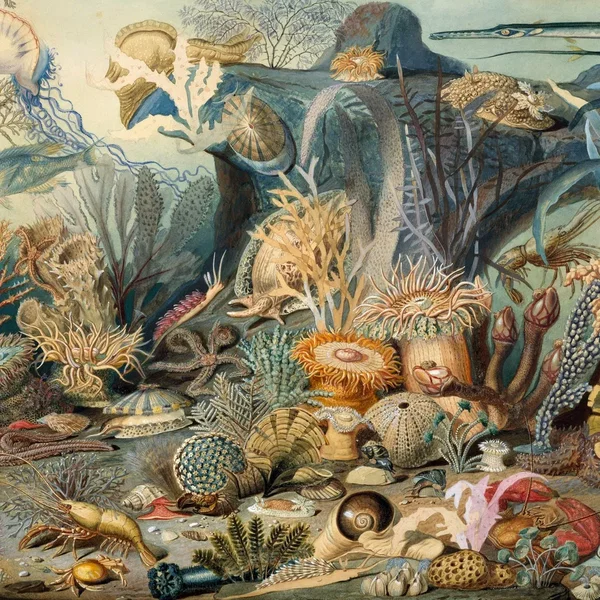 Episodes in Oceanography, Vol. 2