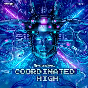 Coordinated High (Original Mix)