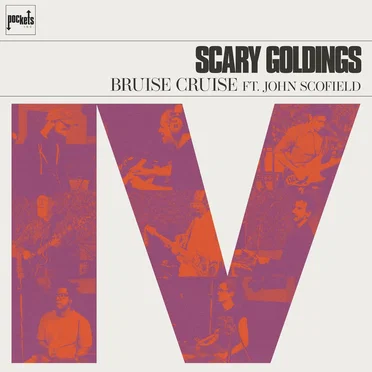Bruise Cruise by Scary Goldings - album cover