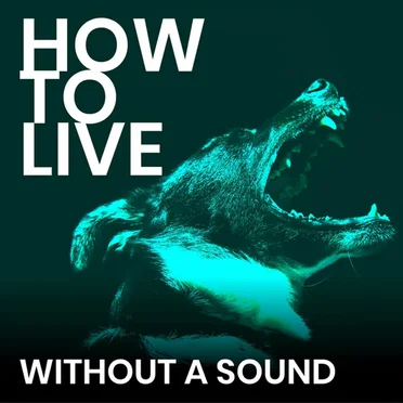 Without a Sound