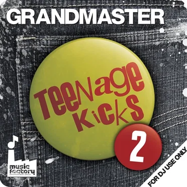 Grandmaster Teenage Kicks 2 by Various Artists - album cover