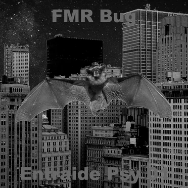 Entraide Psy by FMR Bug - album cover