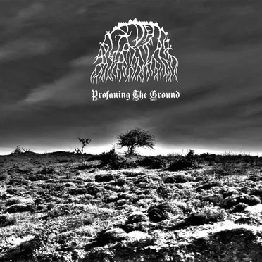 Profaning The Ground by A Diadem of Dead Stars - album cover