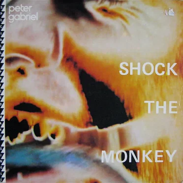 Shock the Monkey