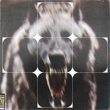 the_hound