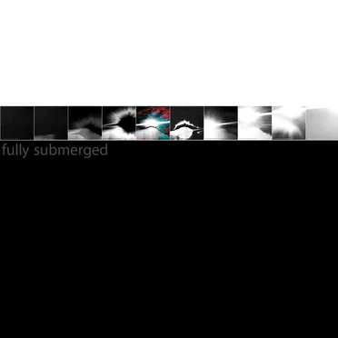 fully submerged i – x