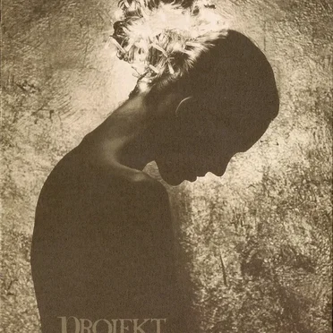 Projekt 200 by Various Artists - album cover