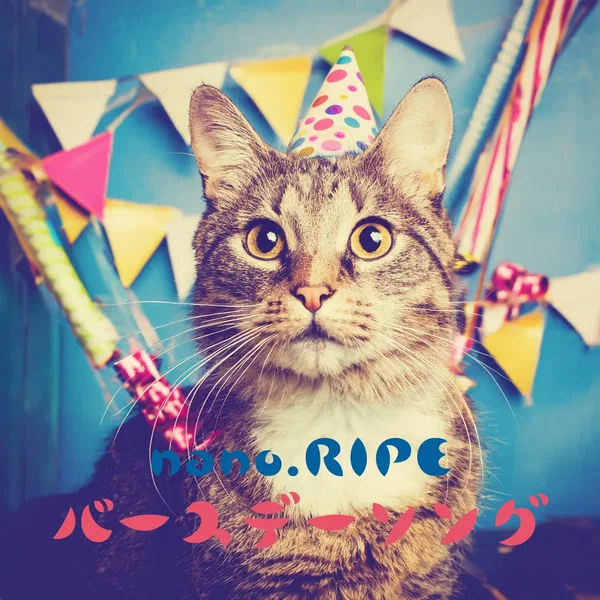 Birthday Song