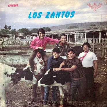 Los Zantos