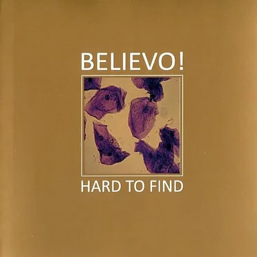 Hard To Find by Believo! - album cover