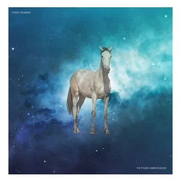 Steedy Wonder