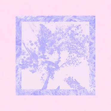 Image Version