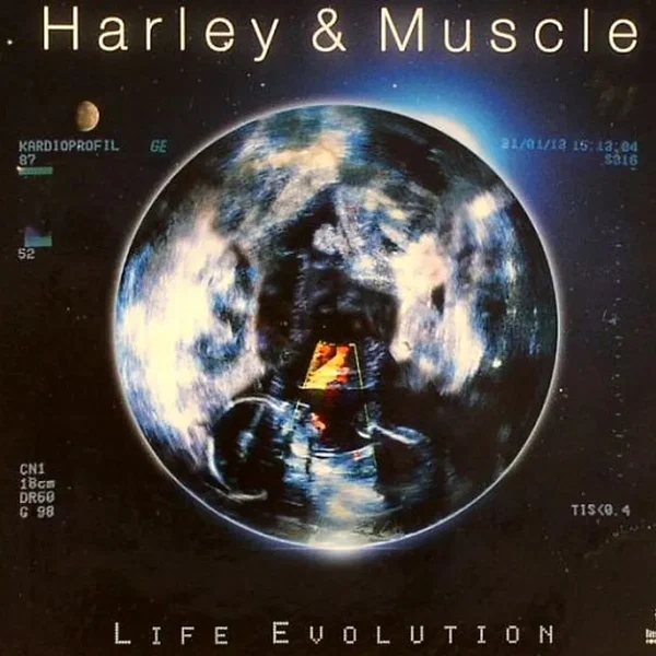 Life Evolution
