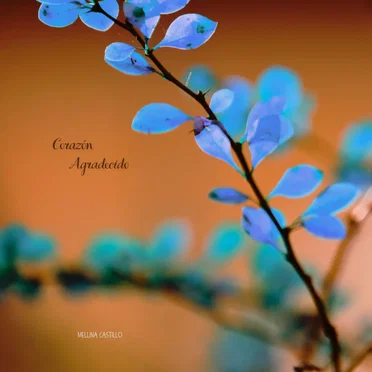 Corazón Agradecido by Mellina Castillo - album cover