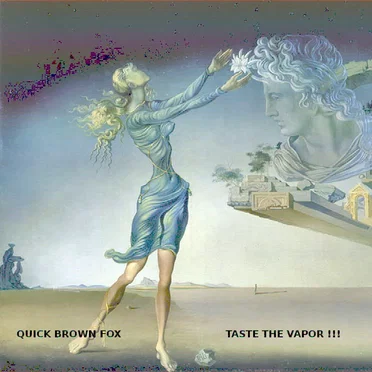 Taste The Vapor - A Vaporwave Journey In 10 Volumes by Quick Brown Fox - album cover