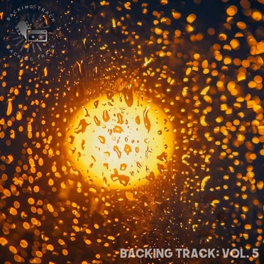 Vol.5