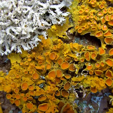 Sun Dial / Illusion of Time