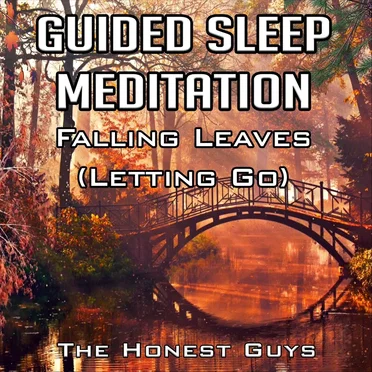 Guided Sleep Meditation: Falling Leaves (Letting Go) by The Honest Guys - album cover