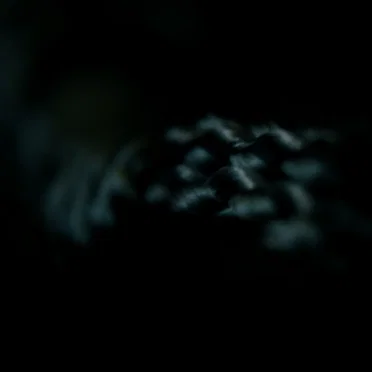 Fragments
