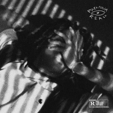 PARANOIA (remix)