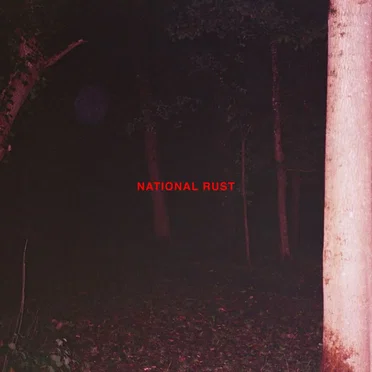 National Rust by Buzzard Buzzard Buzzard - album cover