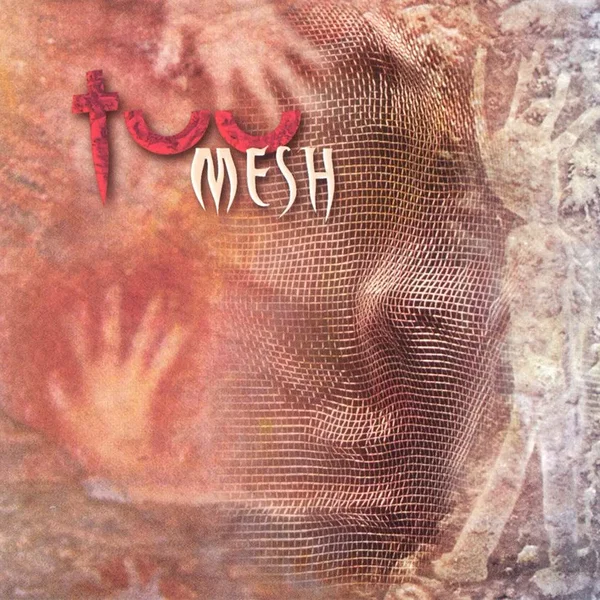 Mesh