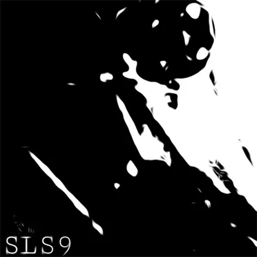 SLS9 by Bleepeater - album cover