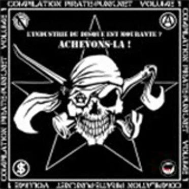 Compilation pirate-punk.net, Volume 1 by Various Artists - album cover