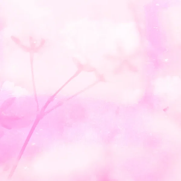 ふわ輪
