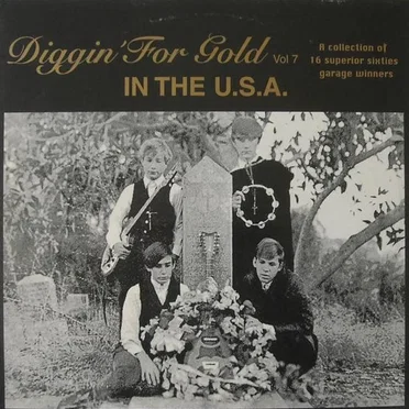 Diggin’ for Gold, Volume 7: In the U.S.A. by Various Artists - album cover