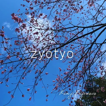 zyotyo by Kenji Fujiwara - album cover