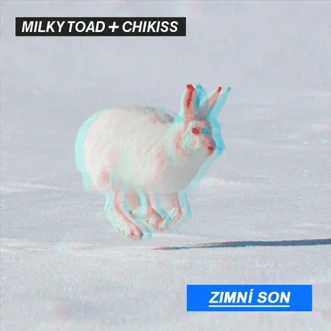 Zimní son