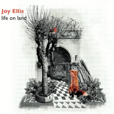 Life On Land by Joy Ellis - album cover