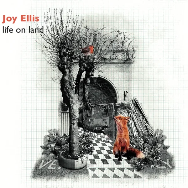 Life On Land