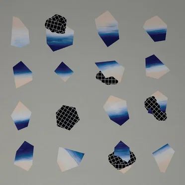 Ants on the Golden Cone by The Polyps - album cover