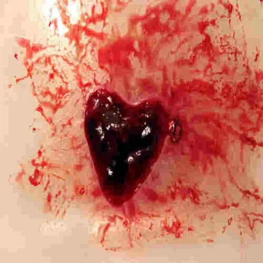 the party doesnt stop till im dead