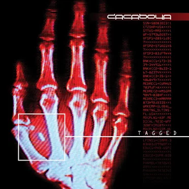 Tagged by Dacaboya - album cover