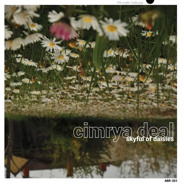 Skyful Of Daisies