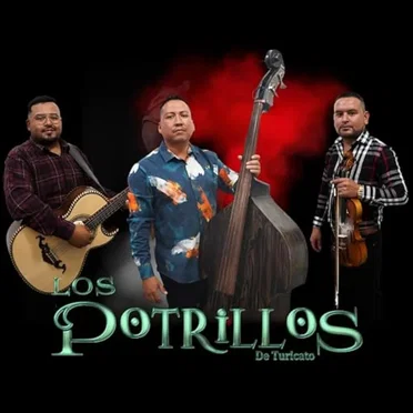 Sones, zapateados y huapangos