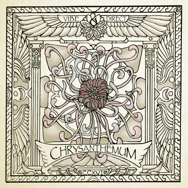 Crysanthemum