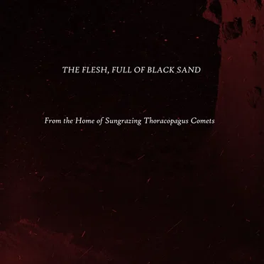 From the Home of Sungrazing Thoracopagus Comets