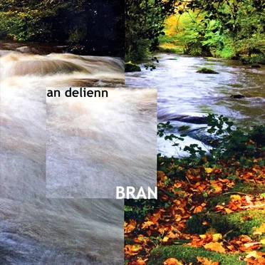 Bran