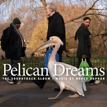 Pelican Dreams