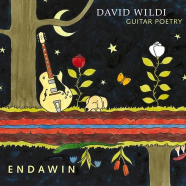 Endawin by David Wildi Guitar Poetry - album cover